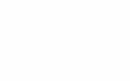 260211 projectforprojects p4p logo weiss 